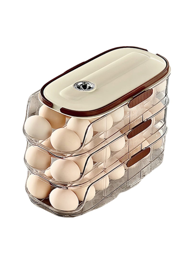 Double Row - Double Layer, Egg Storage Box Storage Container, Suitable For Refrigerator Door, Save Space - Image 1